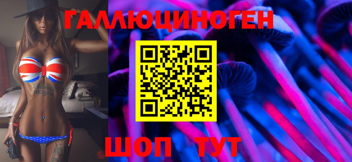 Липецк  Псилоцибиновые грибы мухоморы  Вход с VPN  Псилоцибиновые грибы Psilocybe 